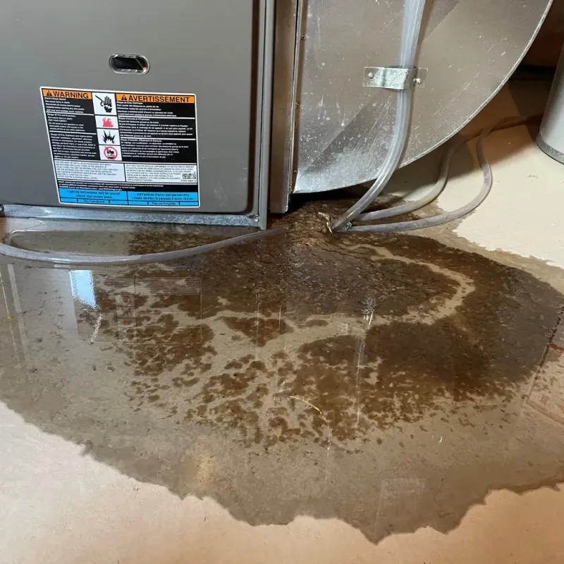 Appliance Leak Cleanup in Fayette County, WV