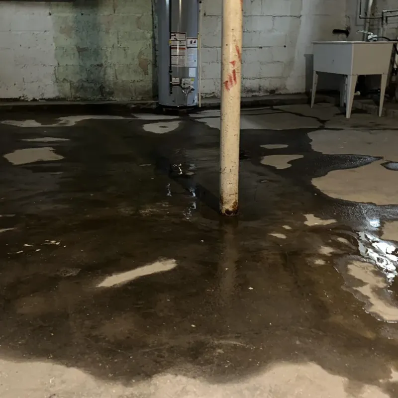 Emergency Water Extraction And Removal in Fayette County, WV